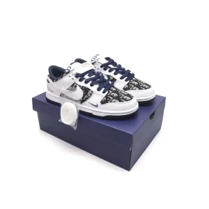 SB Dunk Dior X (Grade 1:1)
