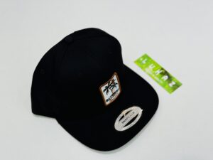 CAP BILL-01