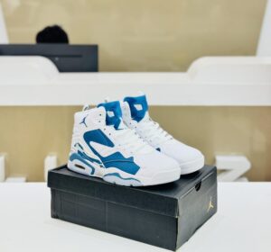 Jordan 6 Sky