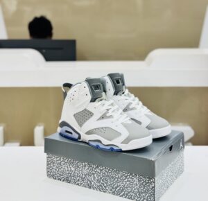 Jordan 6 Ash (Grade 1:1)