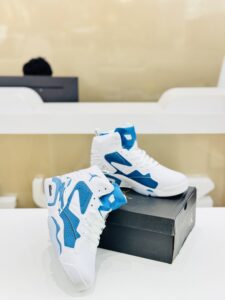 Jordan 6 Sky