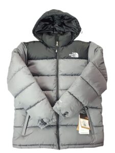NorthFace Silver
